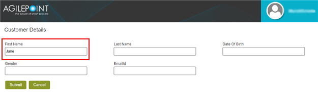 Customer Details Form screen