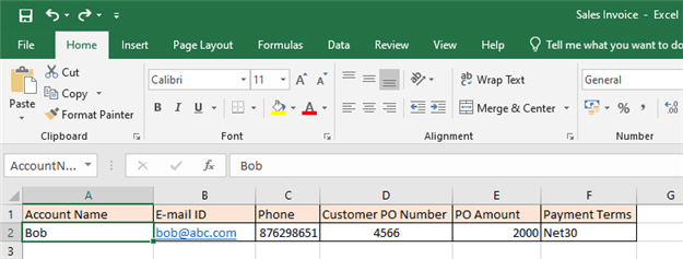 Microsoft Excel Template