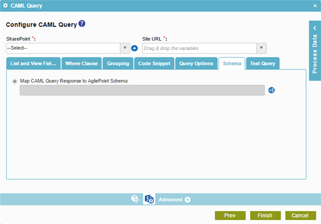 Configure CAML Query Schema tab