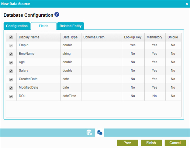 Database Configuration Fields screen