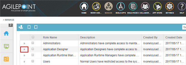 Expand Application Designer Role