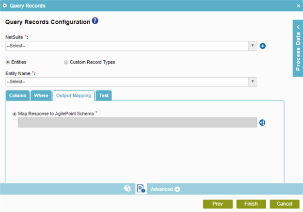 Query Records Configuration Output Mapping tab