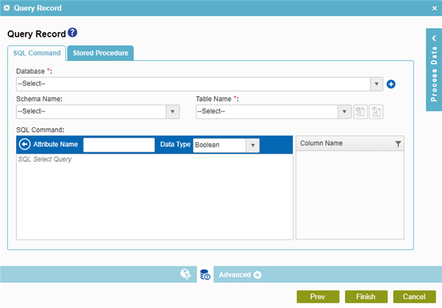 Query Record SQL Command tab