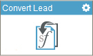 Convert Lead activity