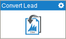 Convert Lead activity