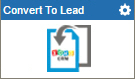 Convert Lead activity