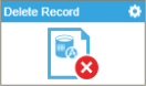 Delete Record activity