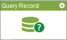 Query Record activity