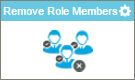 Remove Role Members activity