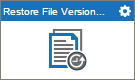 Restore File Version activity