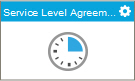 Service Level Agreement activity