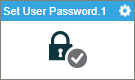 Set User Password activity