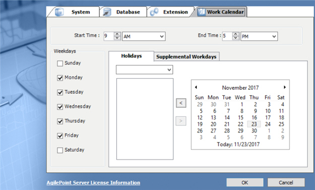 Work Calendar tab
