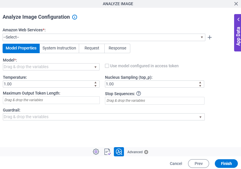 Analyze Image Configuration Model Properties tab