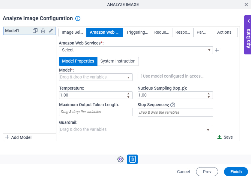 Analyze Image Configuration Amazon Web Services Model Properties tab