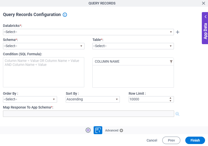 Query Records Configuration screen