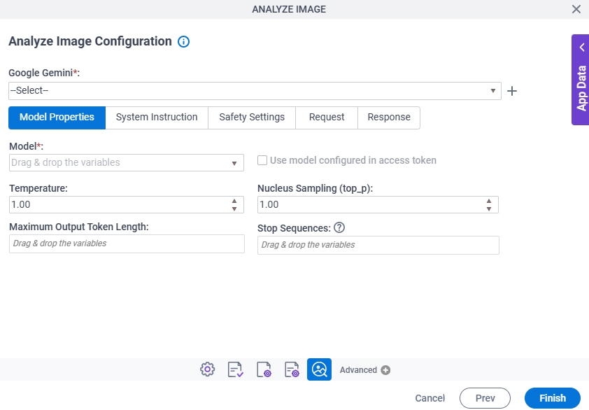 Analyze Image Configuration Model Properties tab