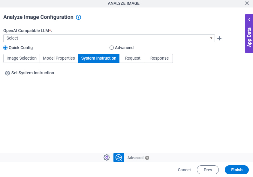 Analyze Image Configuration  Quick Config System Instruction tab