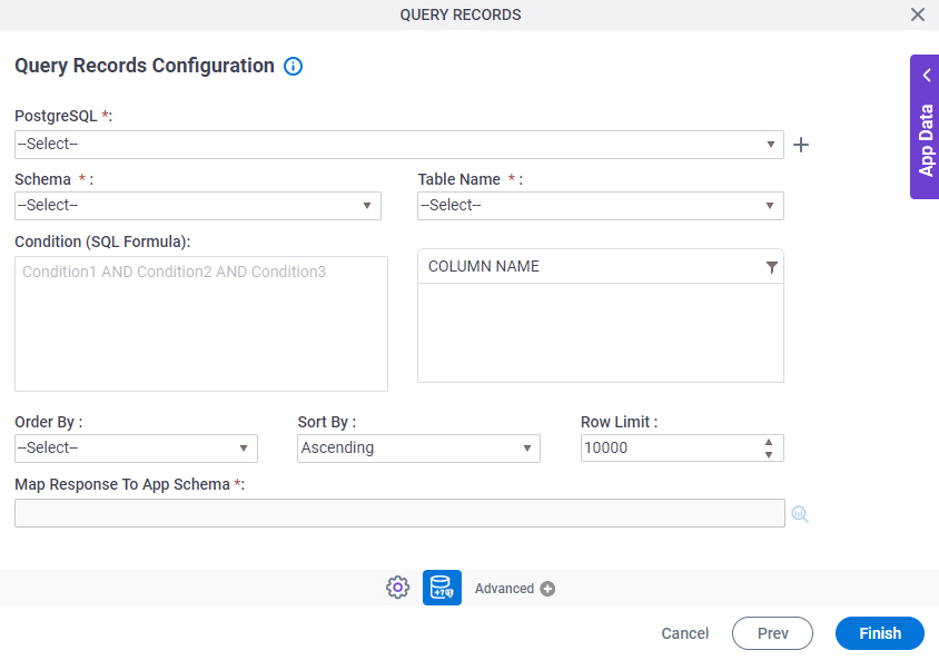 Query Records Configuration screen