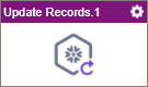 Update Records activity