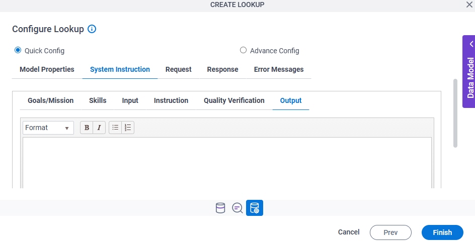 Configure Lookup System Instruction Output tab