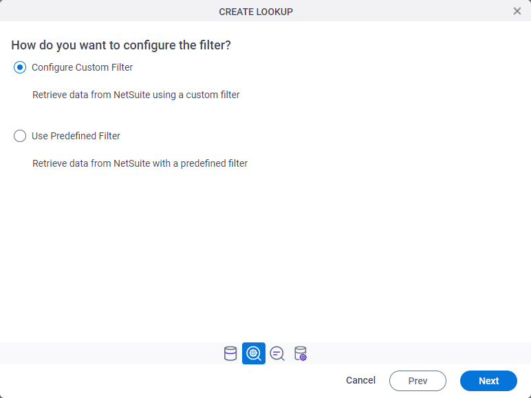 Oracle NetSuite Filter Type screen