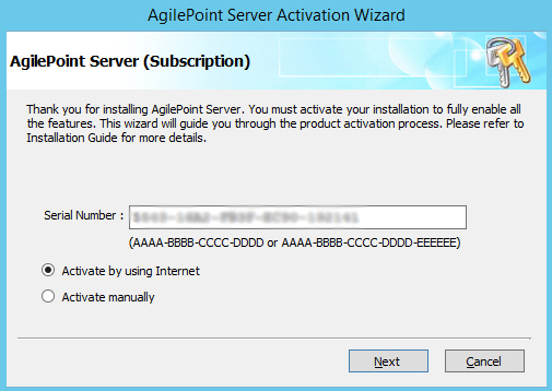 AgilePoint Server Activation Wizard screen