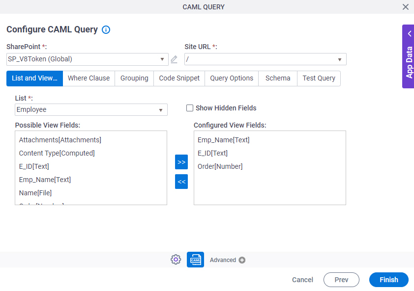 query text caml