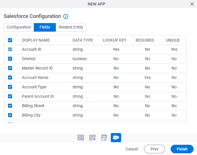 Salesforce Configuration Fields tab