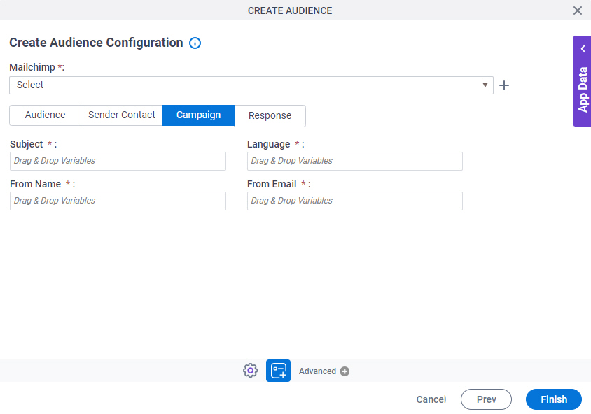 Create Audience Configuration Campaign tab