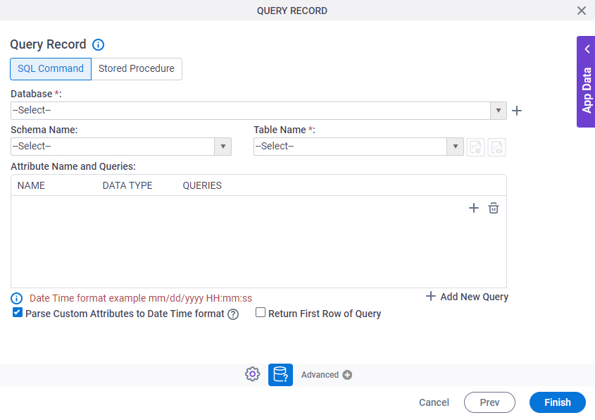 Query Record SQL Command tab