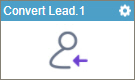 Convert Lead activity