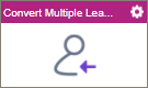 Convert Multiple Leads activity