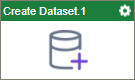 Create Dataset activity