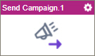 Send Campaign activity