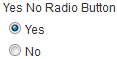 Yes No Radio Button form control
