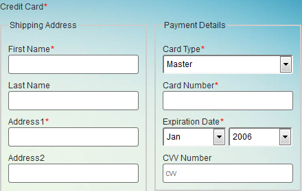 Credit Card form control