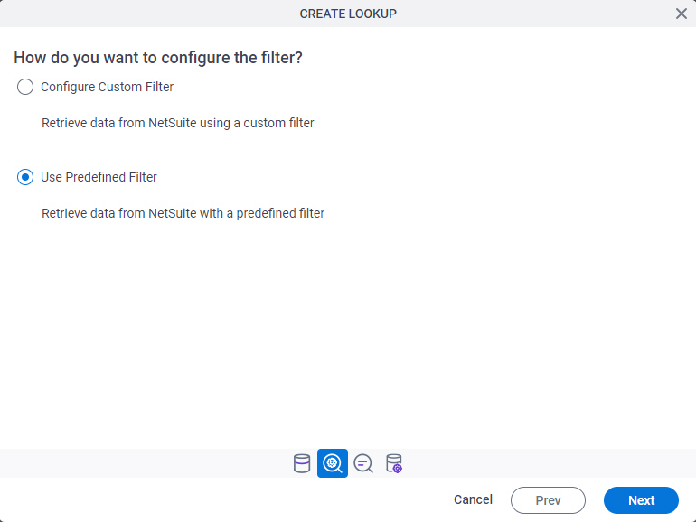 NetSuite Filter Type screen