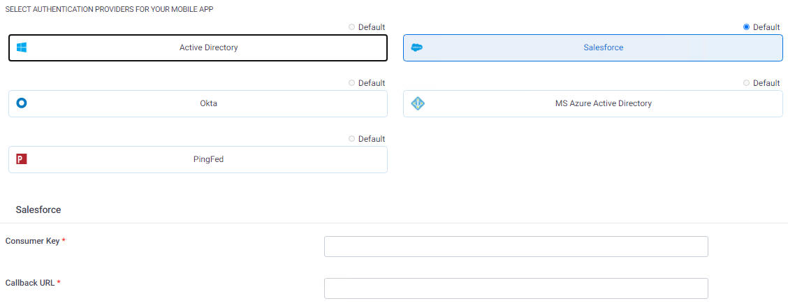 Salesforce Configuration screen