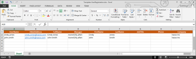 Excel Template File screen