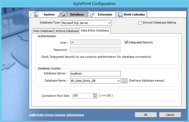 AgilePoint Configuration Database Data Entity Database tab