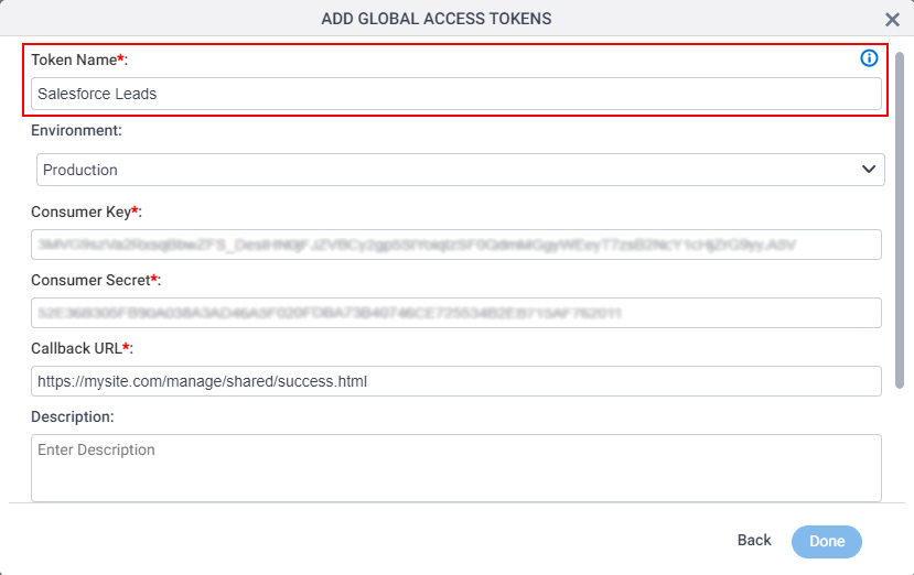 Salesforce Access Token screen