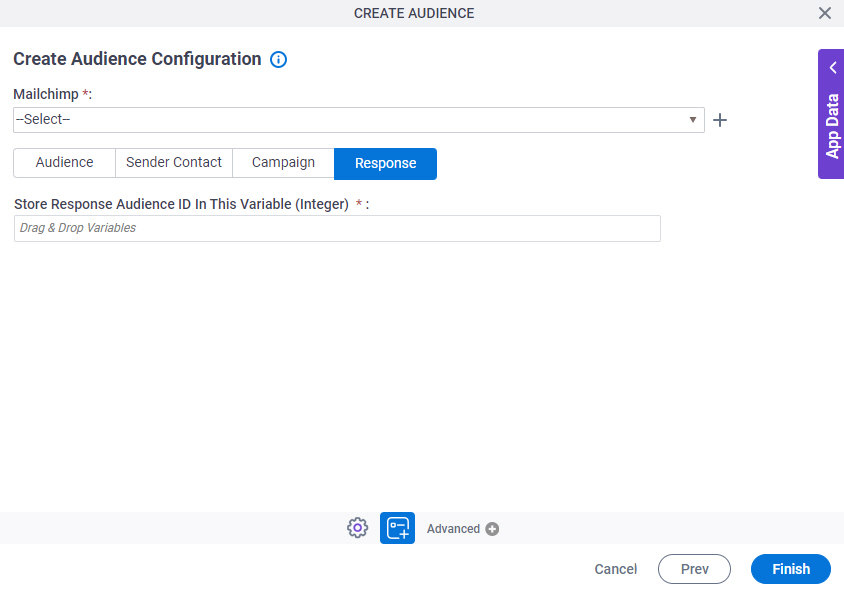 Create Audience Configuration Response tab