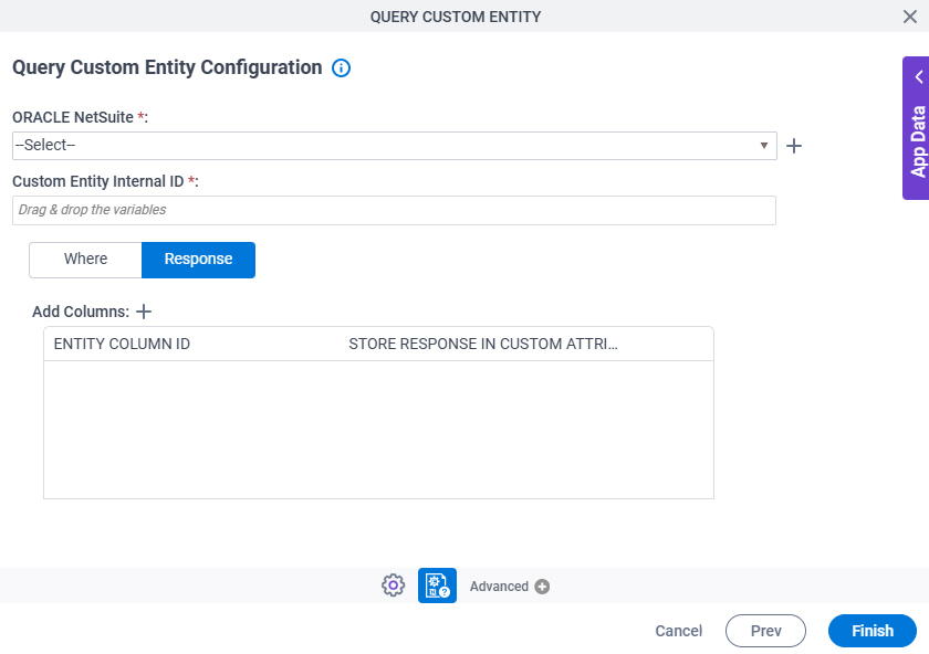 Query Custom Entity Configuration Response tab