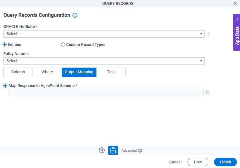 Query Records Configuration Output Mapping tab