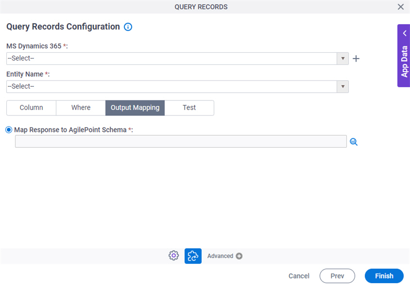 Query Records Configuration Output Mapping tab