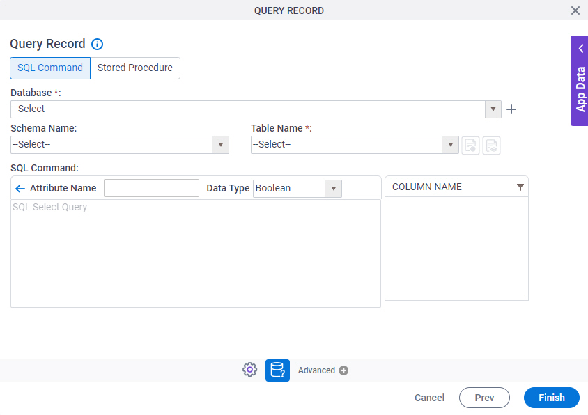 Query Record SQL Command tab