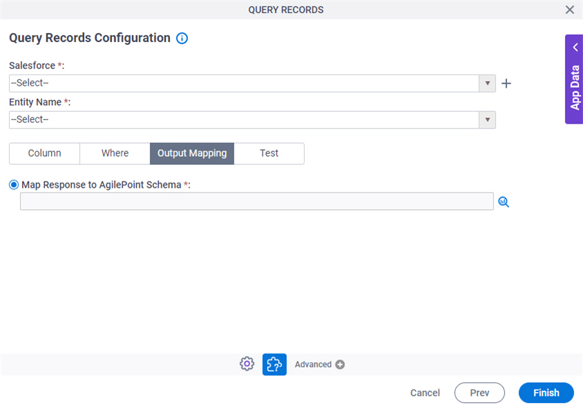 Query Records Configuration Output Mapping tab