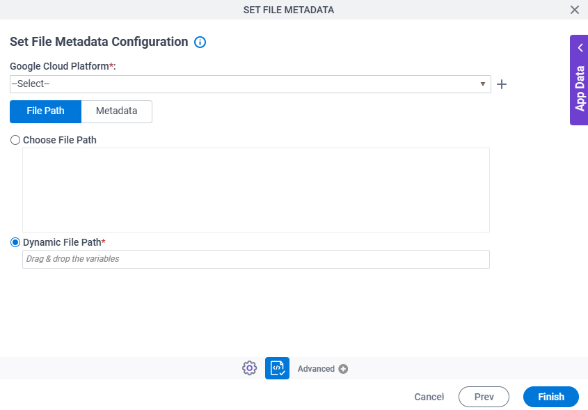 Set File Metadata Configuration File Path tab