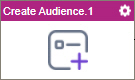 Create Audience activity